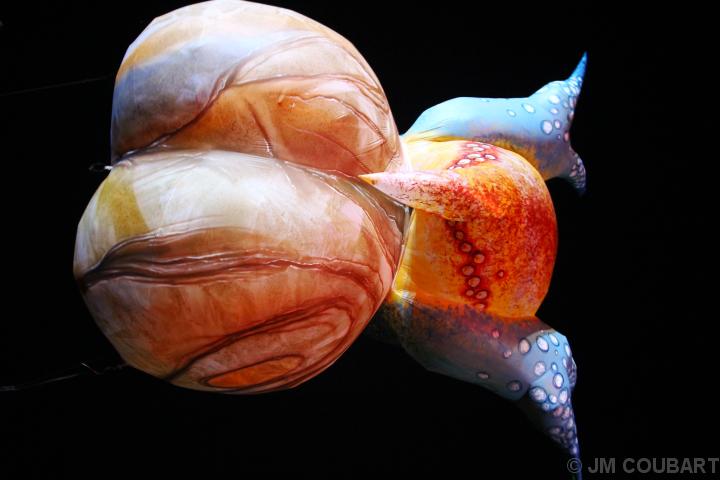 Diapositive suivante
